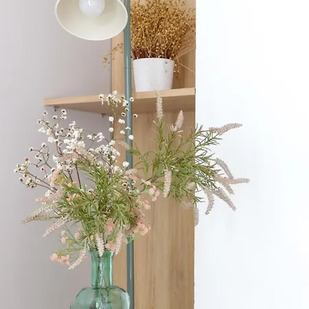 Noguera Loft C Alicante